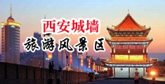 干逼逼网中国陕西-西安城墙旅游风景区