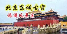 操黑逼视频中国北京-东城古宫旅游风景区